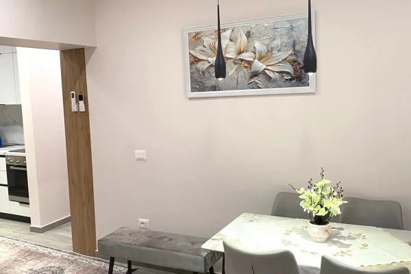 Apartment for rent in Tirana 1+1, Furnished