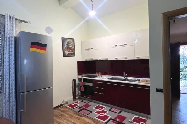 Apartment for rent in Tirana 1+1, Furnished