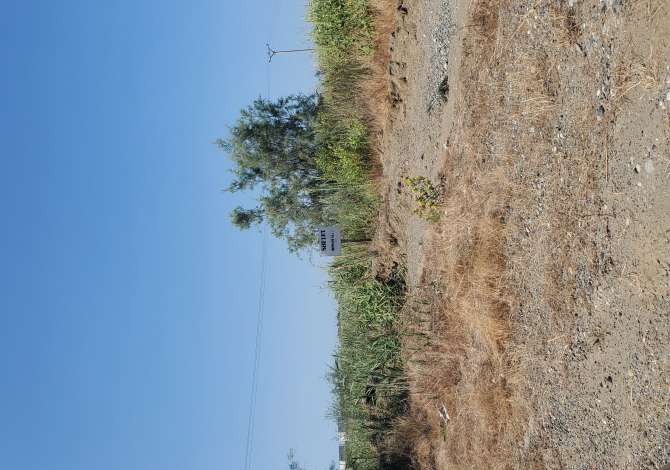 Terreno in vendita  a Alessio - 85,000 Euro