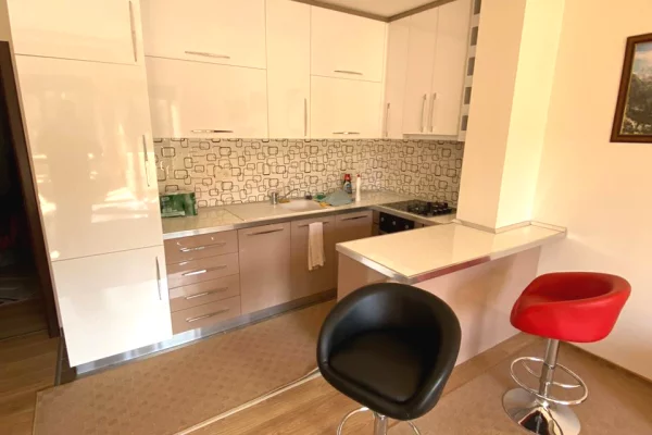 Apartament 1+1 Ringu