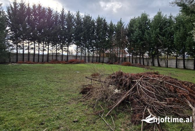 Truall ose Toke  ne Tirane - 2,000,000 Euro