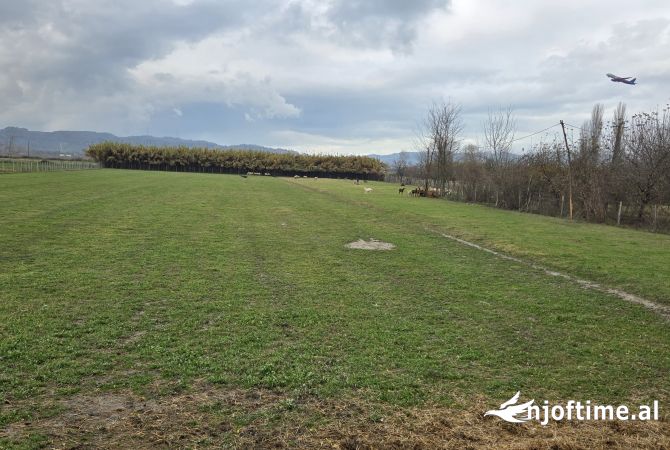 Truall ose Toke  ne Tirane - 2,000,000 Euro