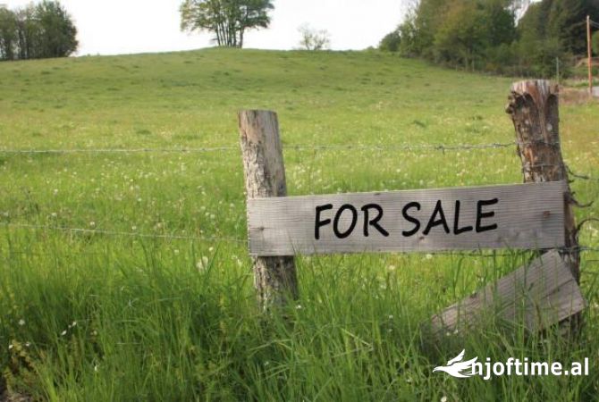 Truall ose Toke ne Tirane - 280,000 Euro