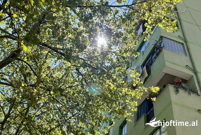 Ambient biznesi me qera 3+1 ne Tirane - 800 Euro