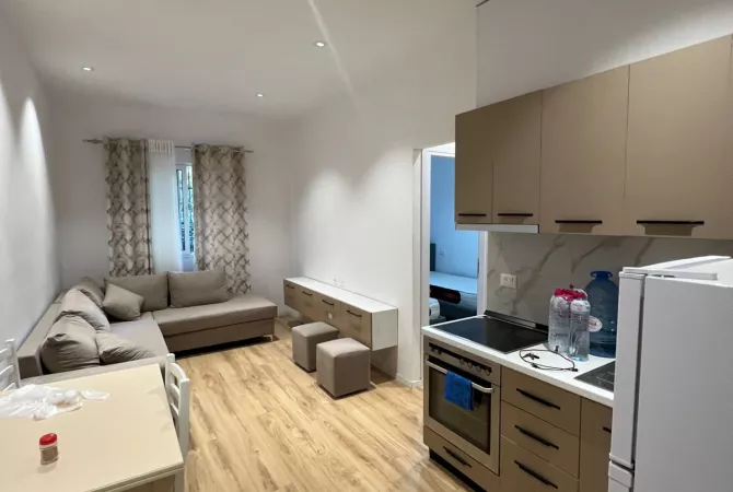 Shtepi ne shitje 1+1 ne Tirane - 51,000 Euro