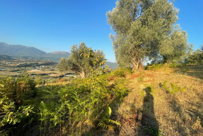 Terreno in vendita a Tirana - 132,000 Euro