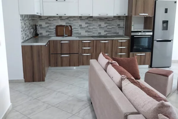 Ambient biznesi me qera 1+1 ne Tirane - 350 Euro