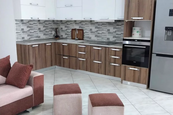 Ambient biznesi me qera 1+1 ne Tirane - 350 Euro