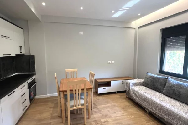 Shtepi me qera 1+1 ne Tirane - 350 Euro