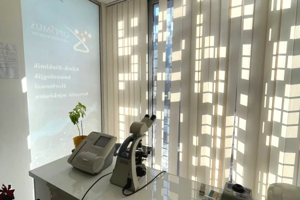 Qera, Ambient Biznesi, Shkolla e Bashkuar, Tiranë - 50.000 Leke | 75 m²