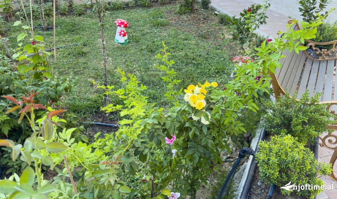 Foto 16