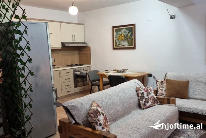Shtepi me qera Shtepi Private ne Tirane, 1+1, Mobilimi E mobiluar, Pagesa 380  Euro.
