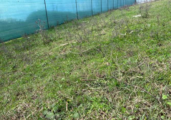 Truall ose Toke ne Tirane - 320,000 Euro