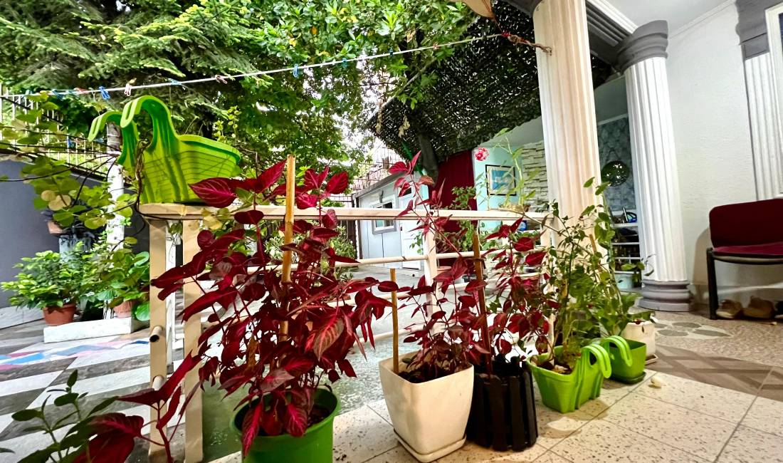 Foto 6