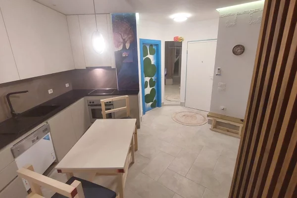 Shtepi me qera Apartament ne Tirane, 1+1, Mobilimi E mobiluar, Pagesa 600  Euro.