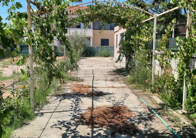 Shtepi private ne plazh prane Adriatik Hotel 