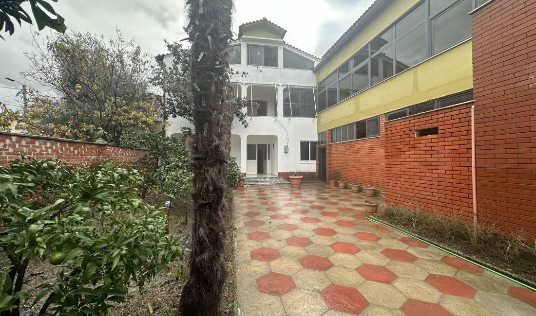 Foto 5