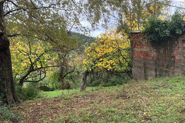 Truall ose Toke ne Tirane - 110,000 Euro