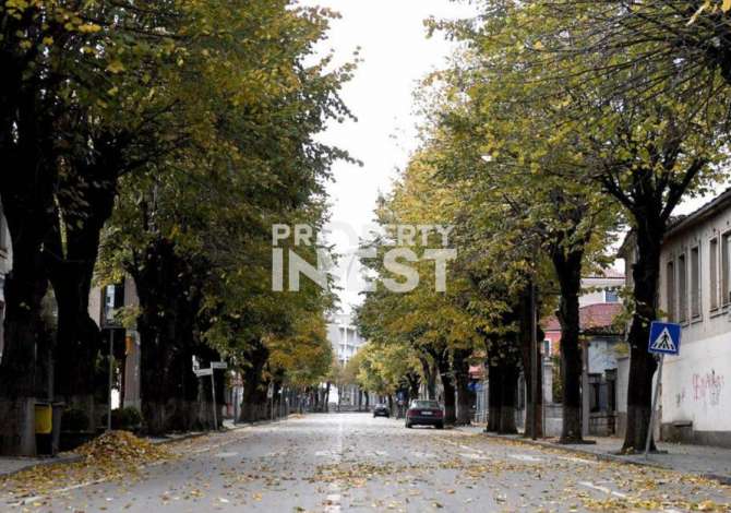 Business Property for Rent 1+1 in Korca - 2,500 Euro