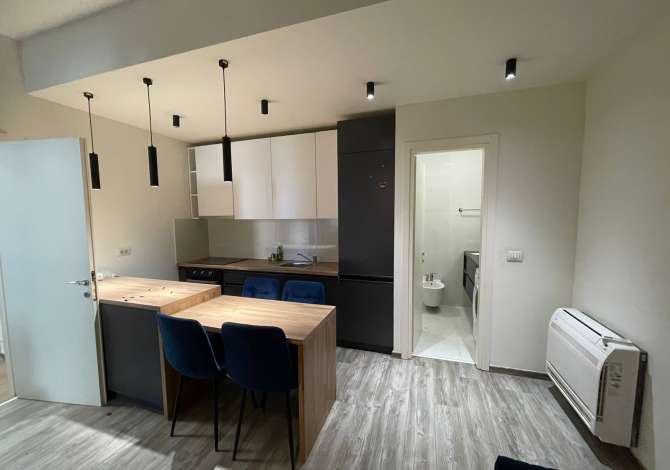 Ambient biznesi me qera 3+1 ne Tirane - 600 Euro