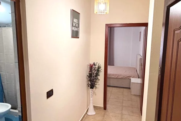 House for Rent 1+1 in Tirana - 37,000 Leke