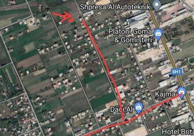   Shitet toke ne kamez