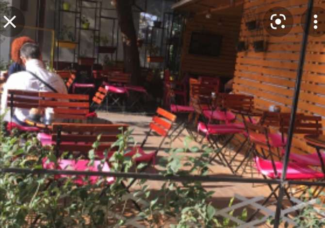 Ambient biznesi me qera 2+1 ne Tirane - 1,000 Euro