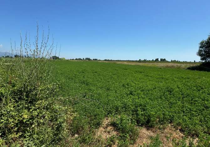 Terreno in vendita  a Alessio - 212,500 Euro