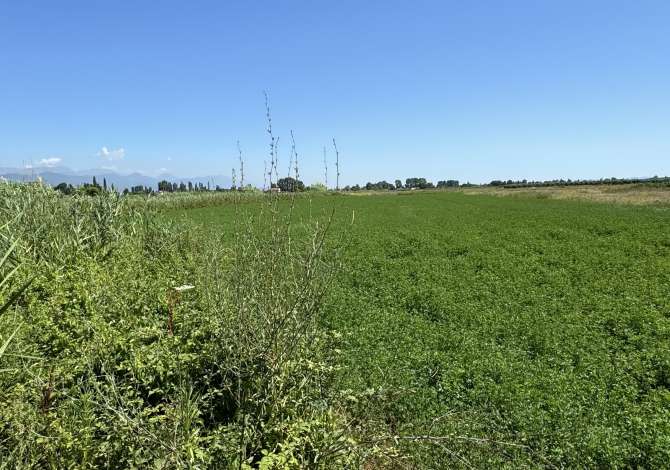 Terreno in vendita  a Alessio - 212,500 Euro