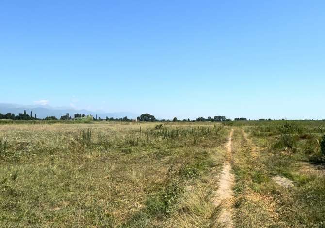 Terreno in vendita  a Alessio - 212,500 Euro