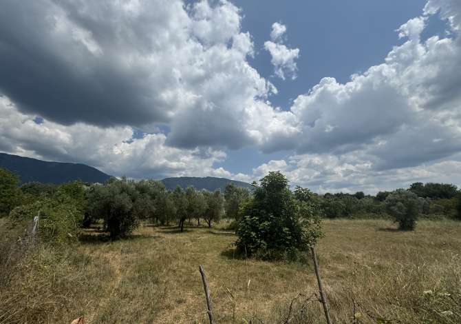 Truall ose Toke  ne Tirane - 300,000 Euro