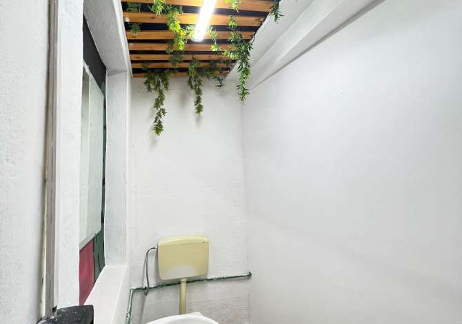 Ambient biznesi me qera 1+1 ne Tirane - 250 Euro