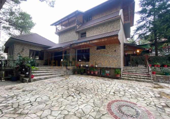 Ambient biznesi ne shitje 2+1 ne Tirane - 2,500,000 Euro