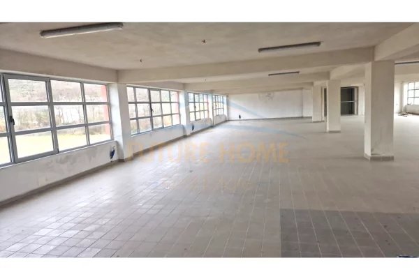 Ambient biznesi me qera 4+1 ne Tirane - 2,200 Euro