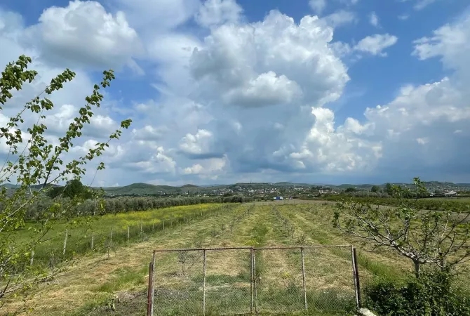 Terreno in vendita  a Berat - 38,000 Euro
