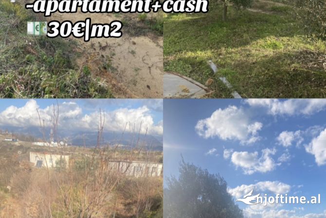 Truall ose Toke  ne Tirane - 300,000 Euro
