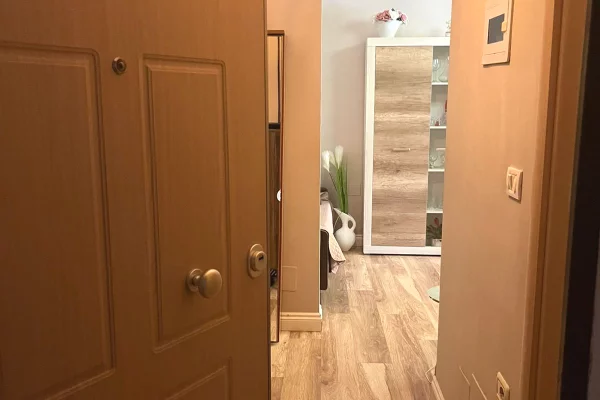 Shtepi ne shitje Apartament ne Tirane, 1+1, Mobilimi Pjeserisht e mobiluar, Pagesa 10,000,000  Leke.