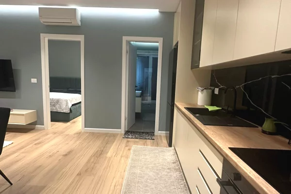 Apartment for rent in Tirana 1+1, Furnished