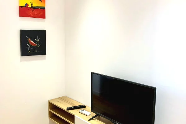 Apartment for sale in Tirana Garsoniere, Furnished