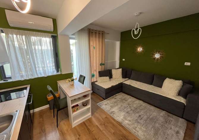 Shtepi me qera 1+1 ne Tirane - 65,000 Leke