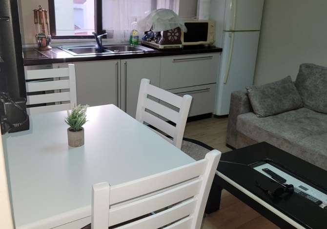 Shtepi me qera Apartament ne Tirane, 1+1, Mobilimi E mobiluar, Pagesa 500  Euro.