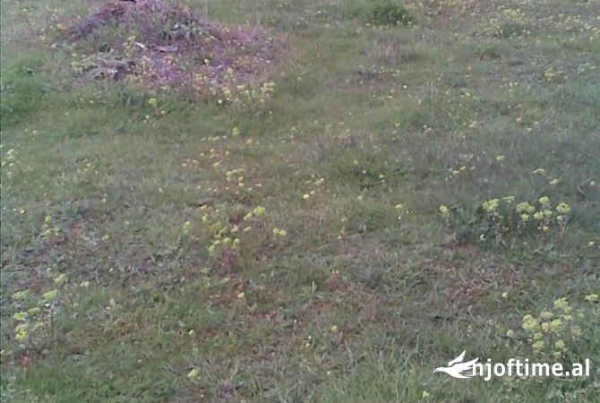 Terreno in vendita  a Tirana - 90,000 Euro