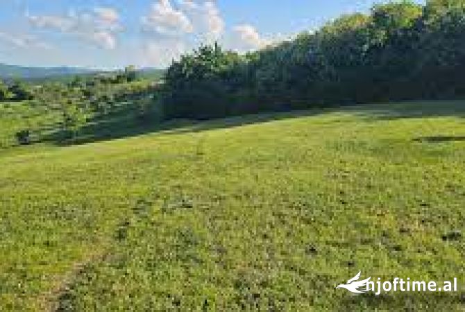 Land for Sale  in Kruja - 100,000 Euro