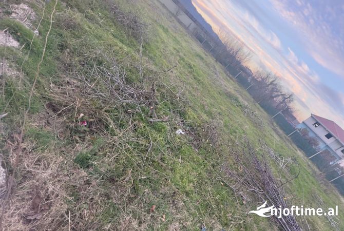 Truall ose Toke ne Tirane - 800,000 Euro