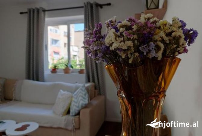 Shtepi me qera 2+1 ne Tirane - 50,000 Leke