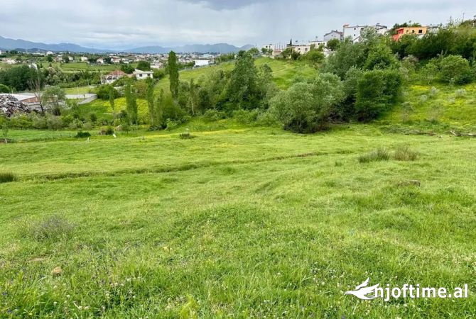 Truall ose Toke  ne Tirane - 180,000 Euro