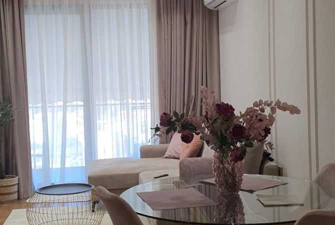 Shtepi me qera 1+1 ne Tirane - 65,000 Leke