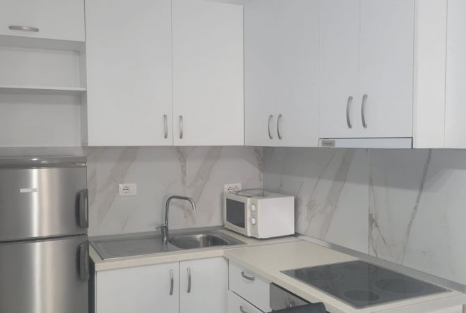 Shtepi me qera Apartament ne Tirane, 1+1, Mobilimi E mobiluar, Pagesa 40,000  Leke.