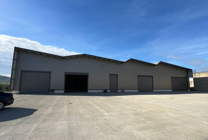 Ambient biznesi ne shitje 4+1 ne Tirane - 4,000,000 Euro