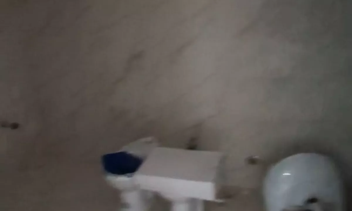 Foto 5